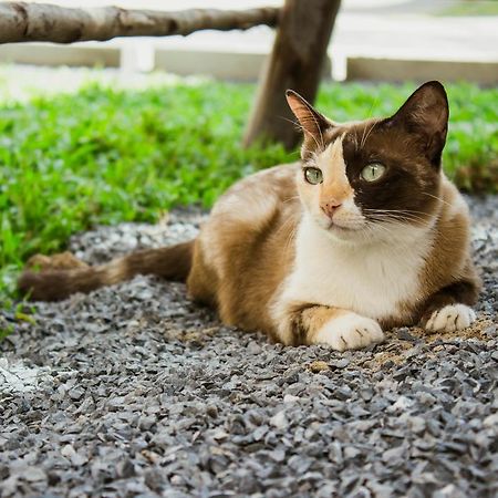 Ban Klong Srabua Ξενοδοχείο Αγιουτάγια Εξωτερικό φωτογραφία